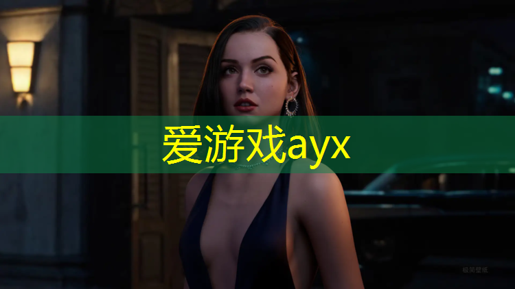 网球网安装效果图